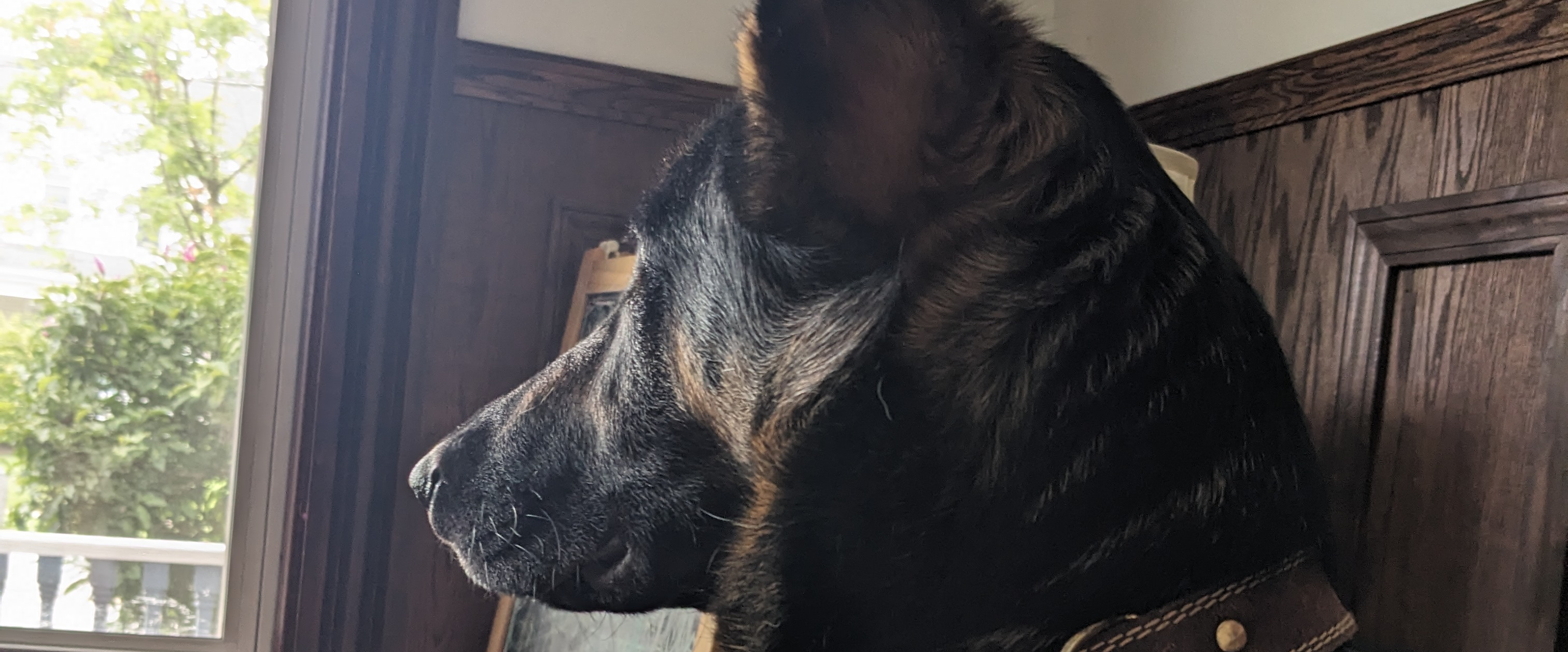 challenge background