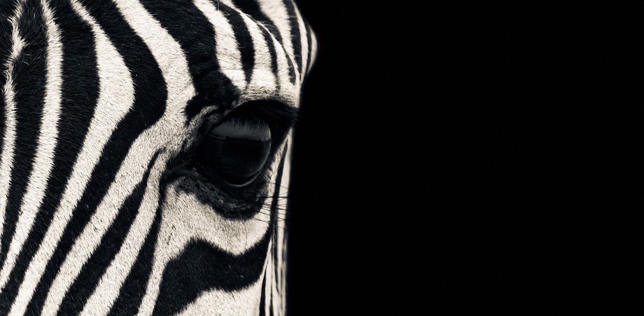 challenge background