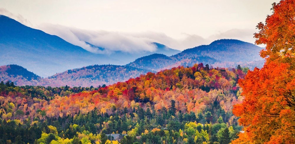 challenge background