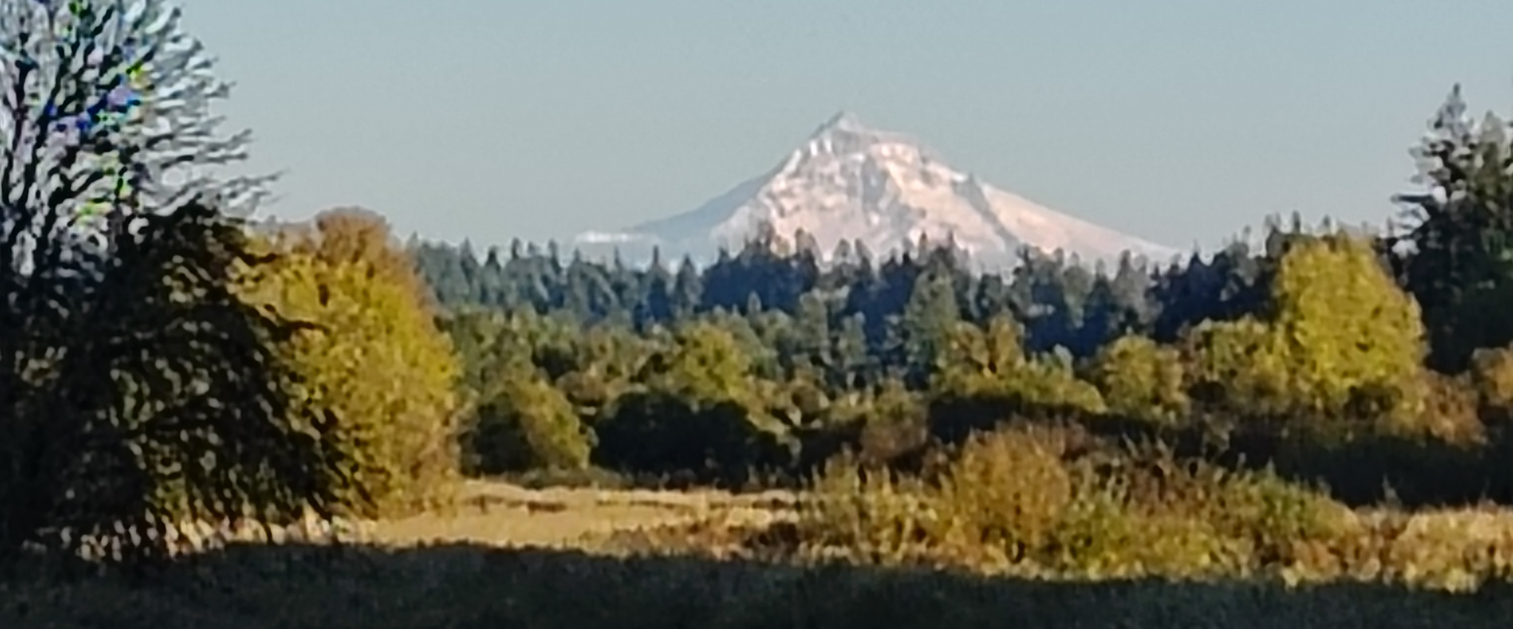 challenge background