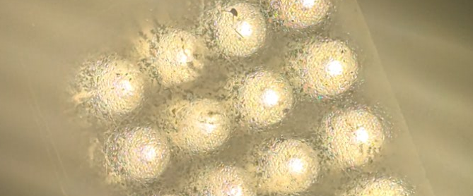 challenge background