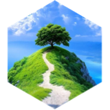 Group 10K steps Challenge icon