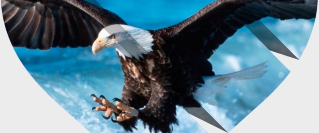 challenge background