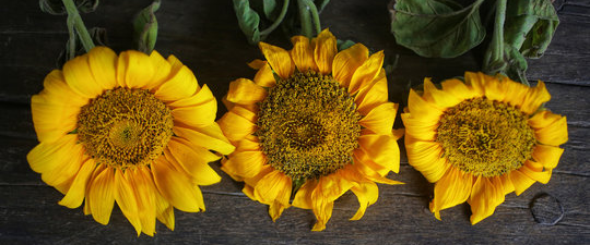 challenge background