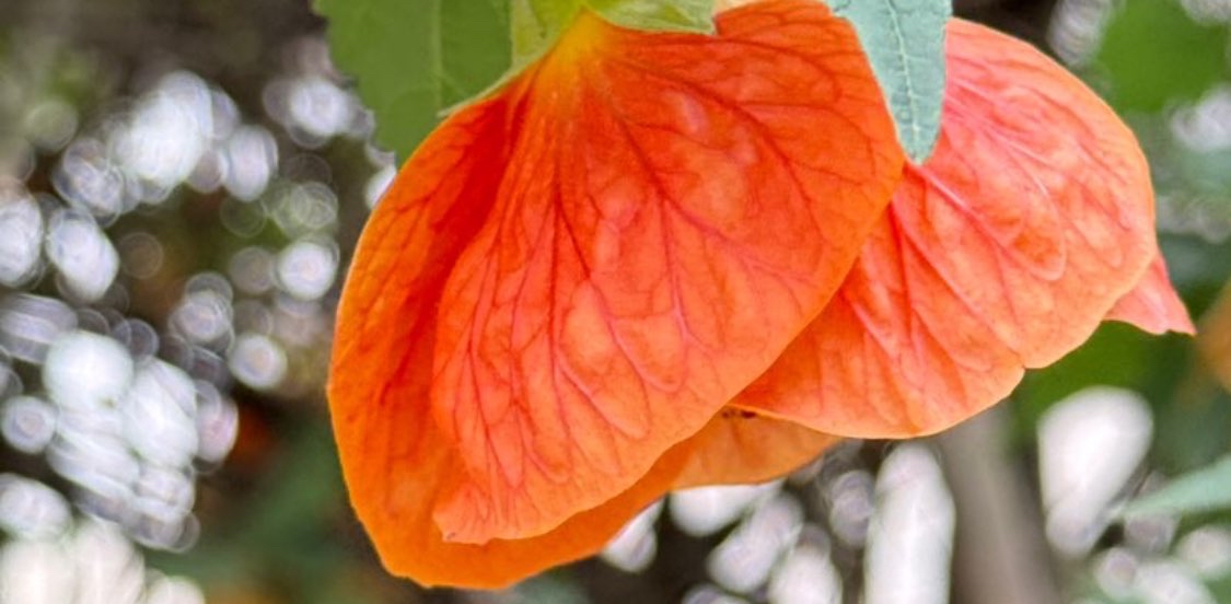 challenge background