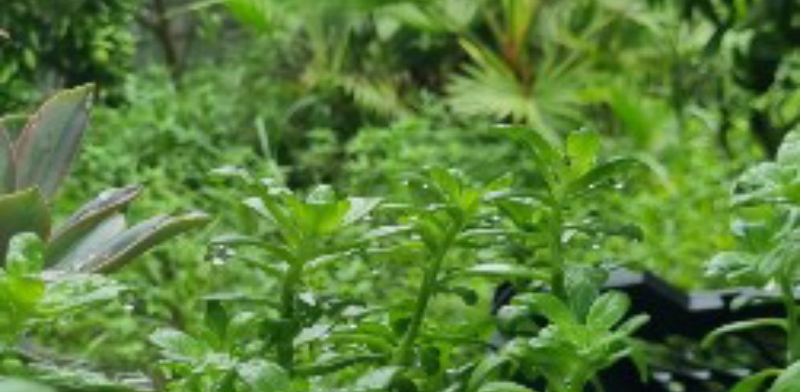 challenge background