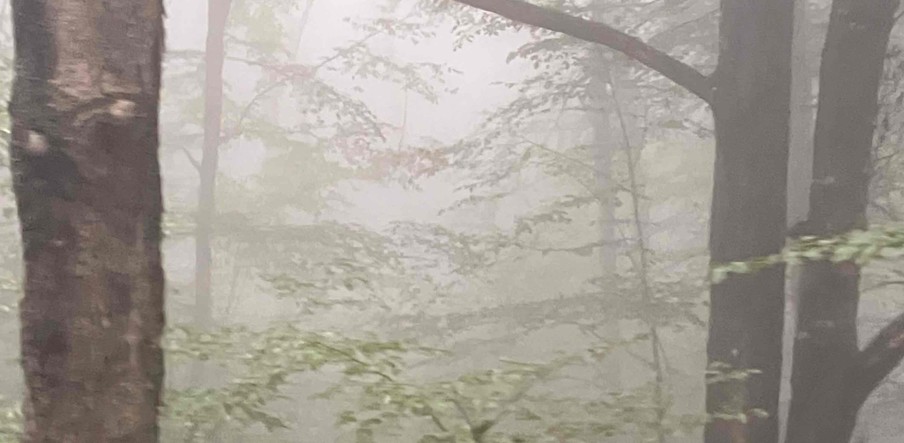 challenge background