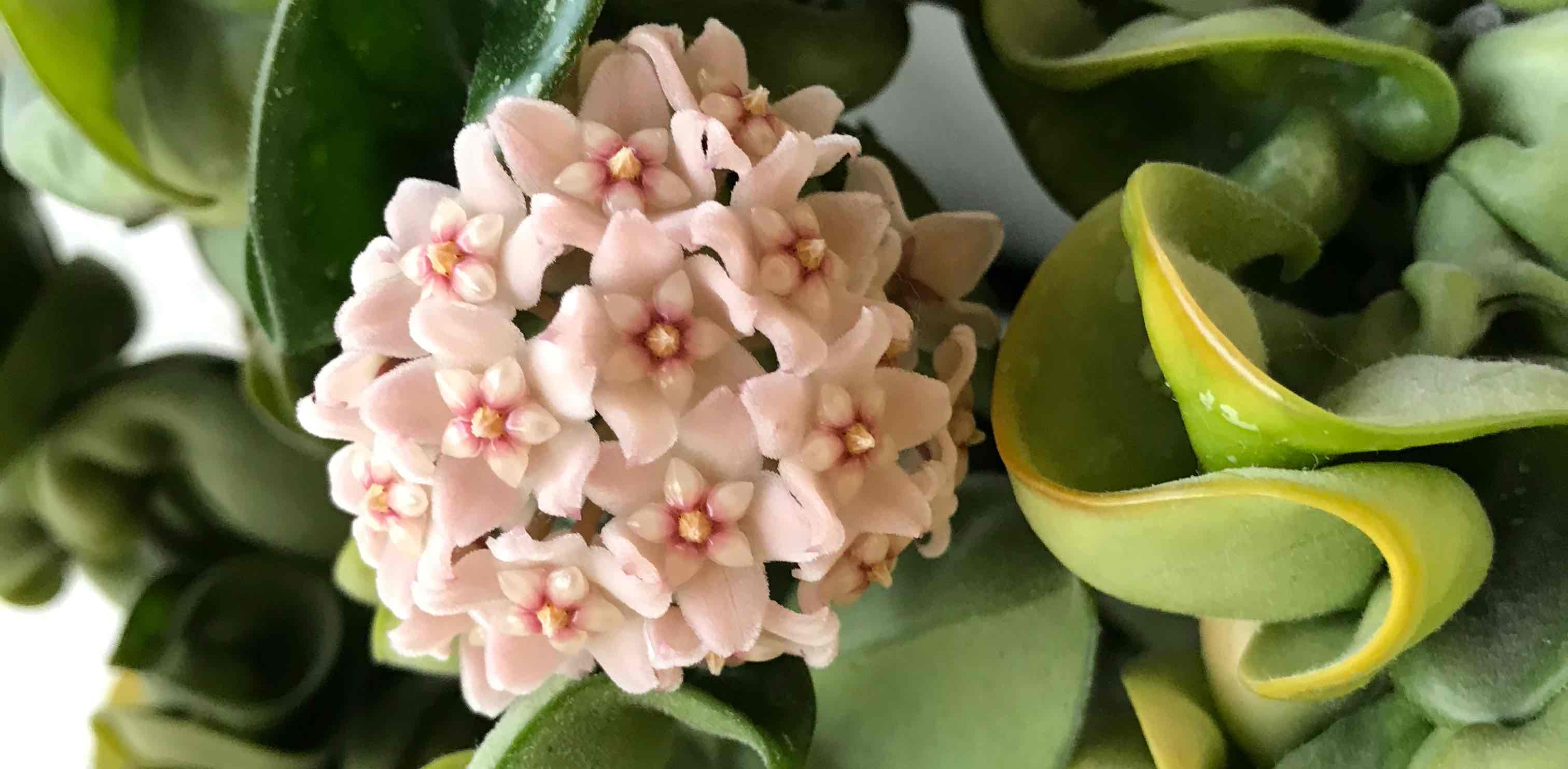 challenge background