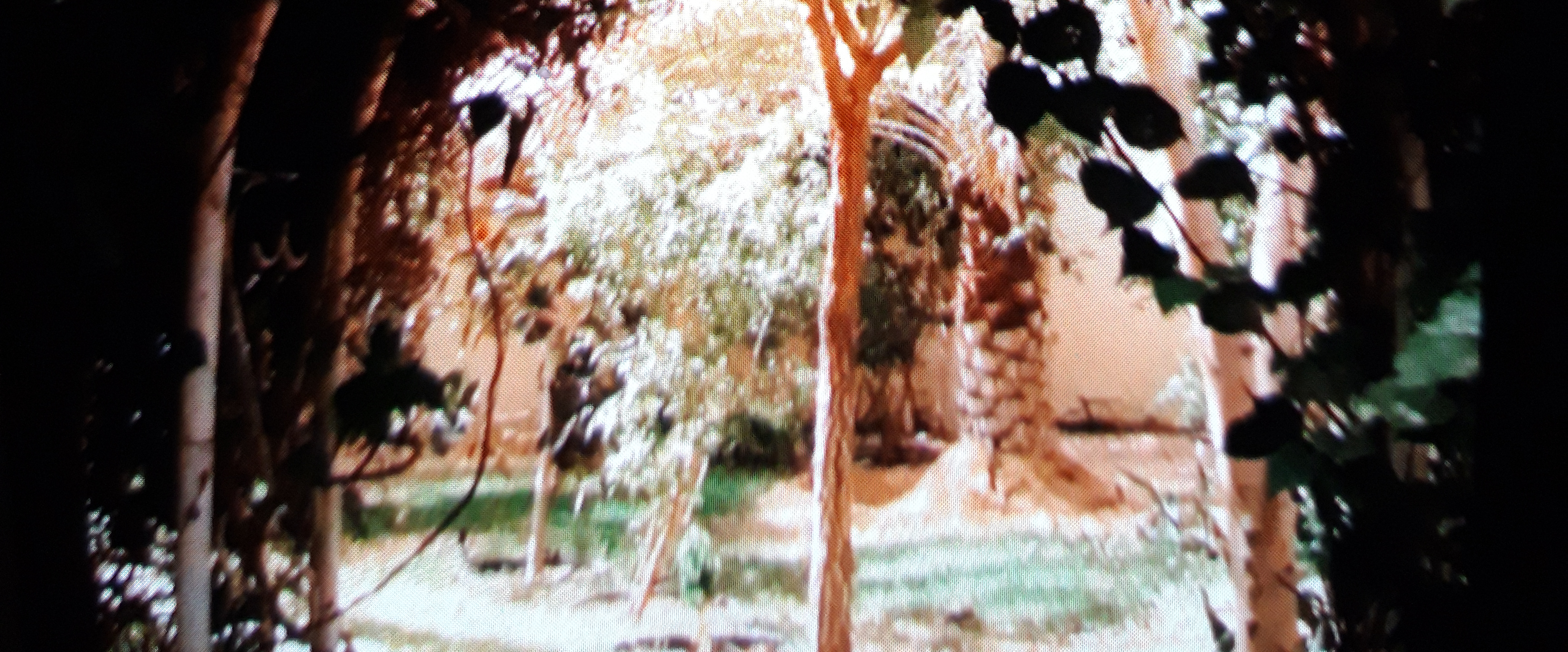 challenge background