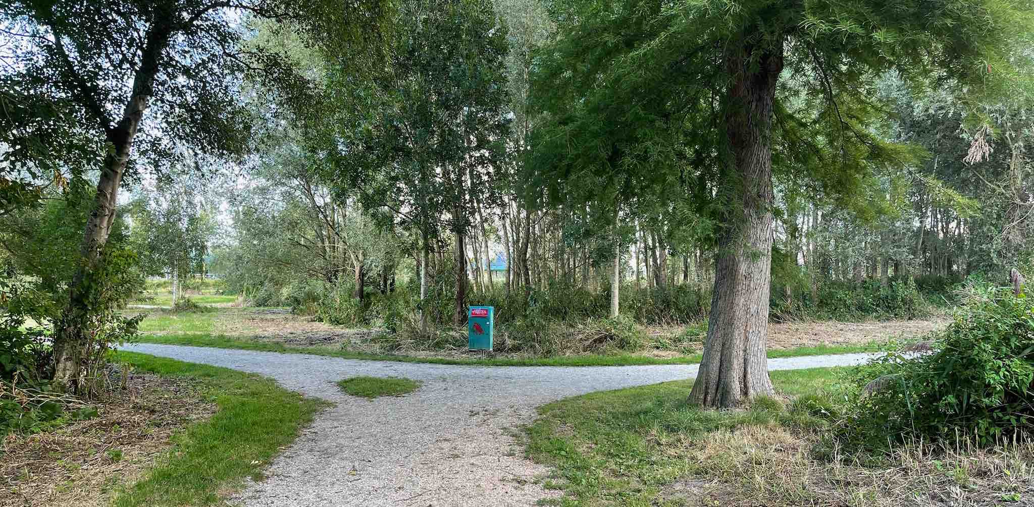 challenge background