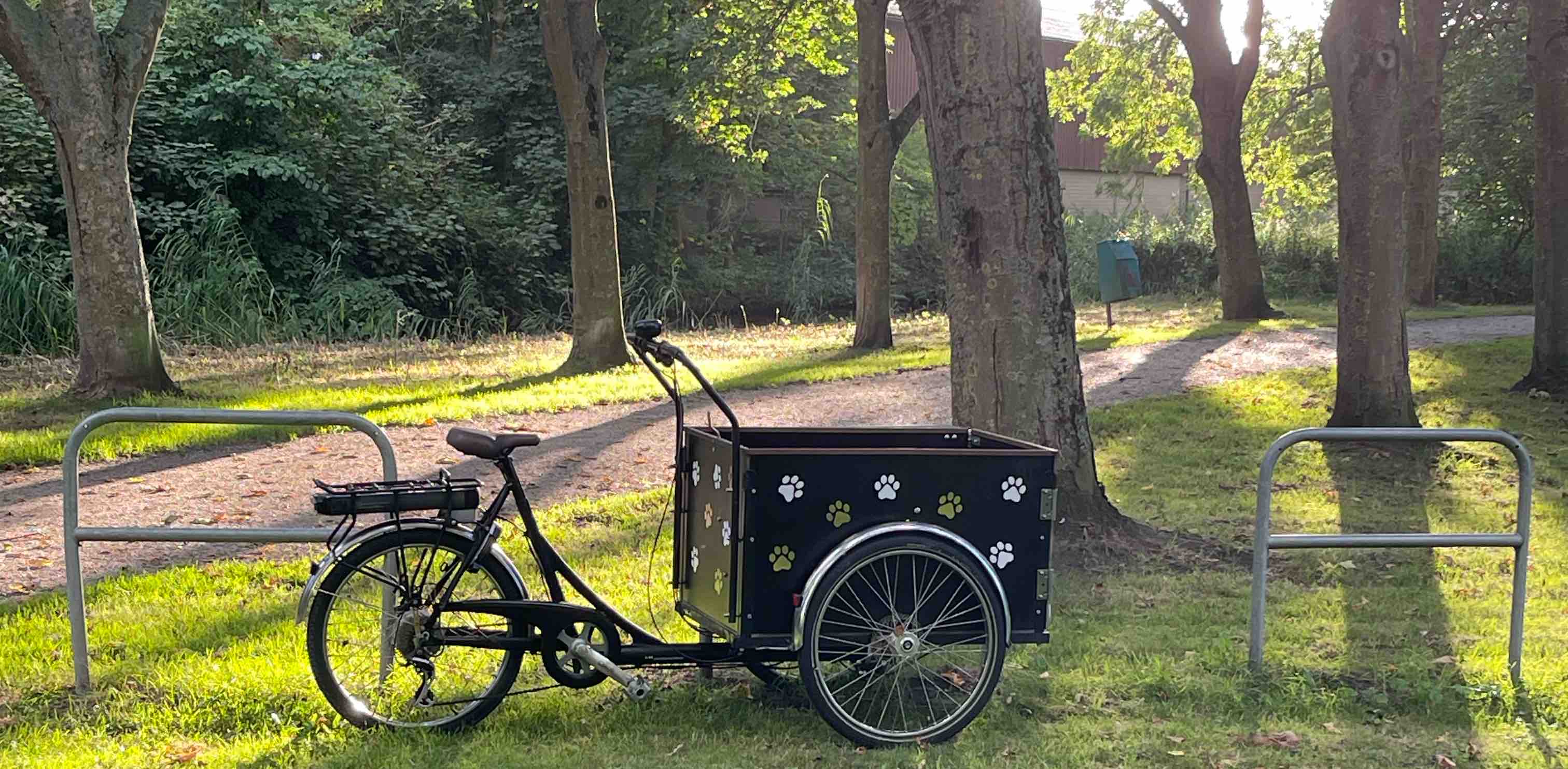 challenge background