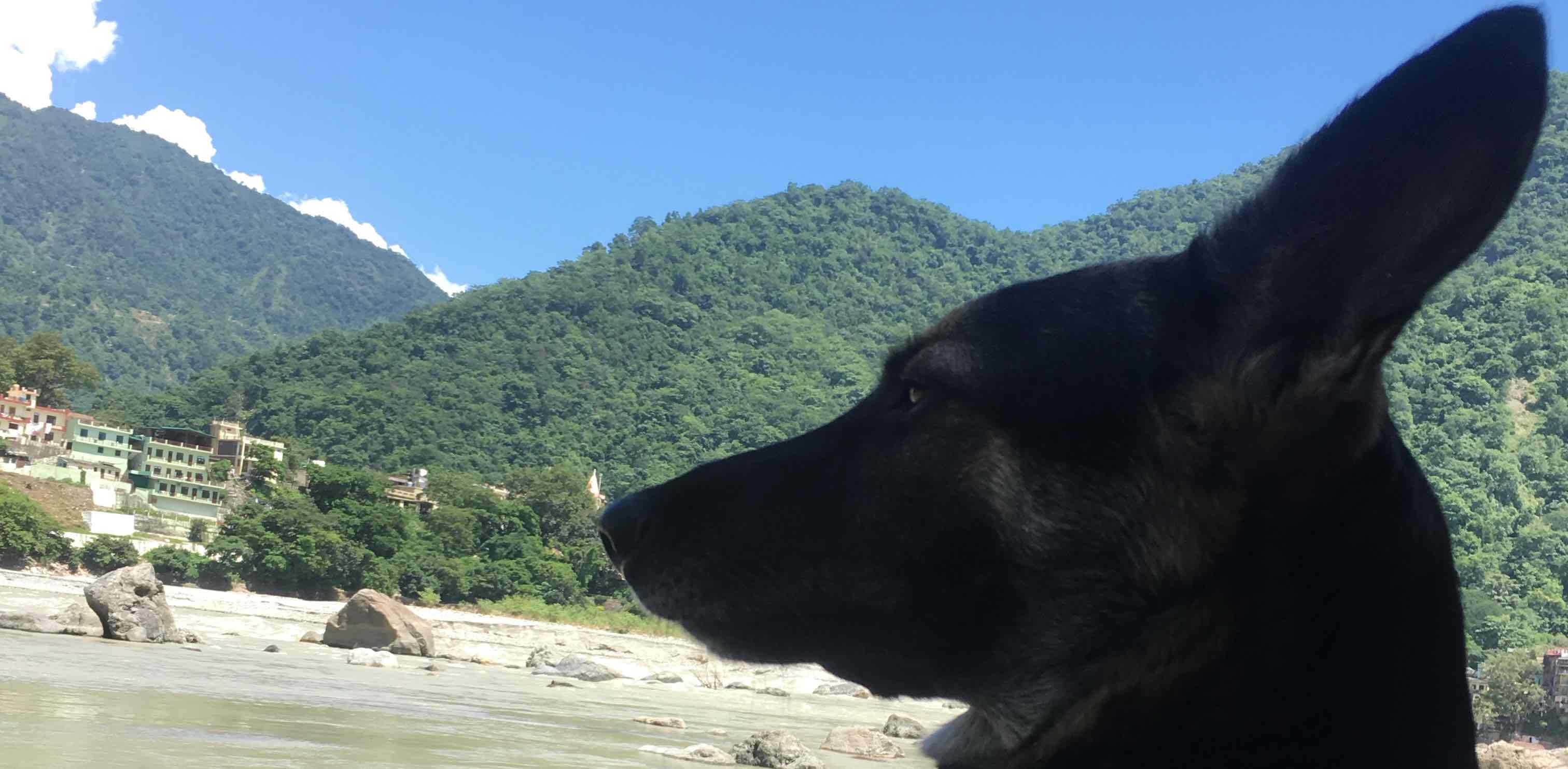 challenge background