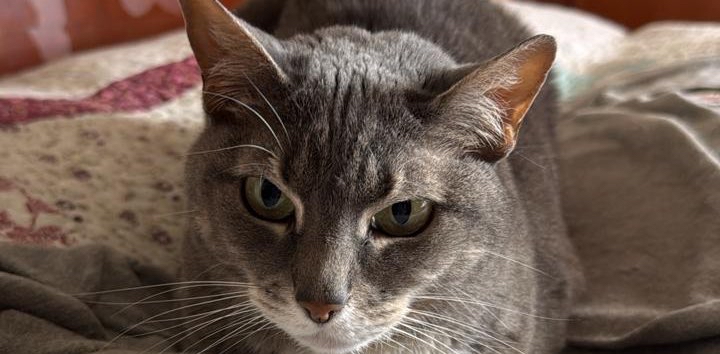 challenge background