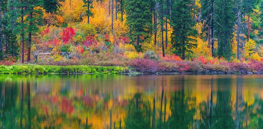 challenge background