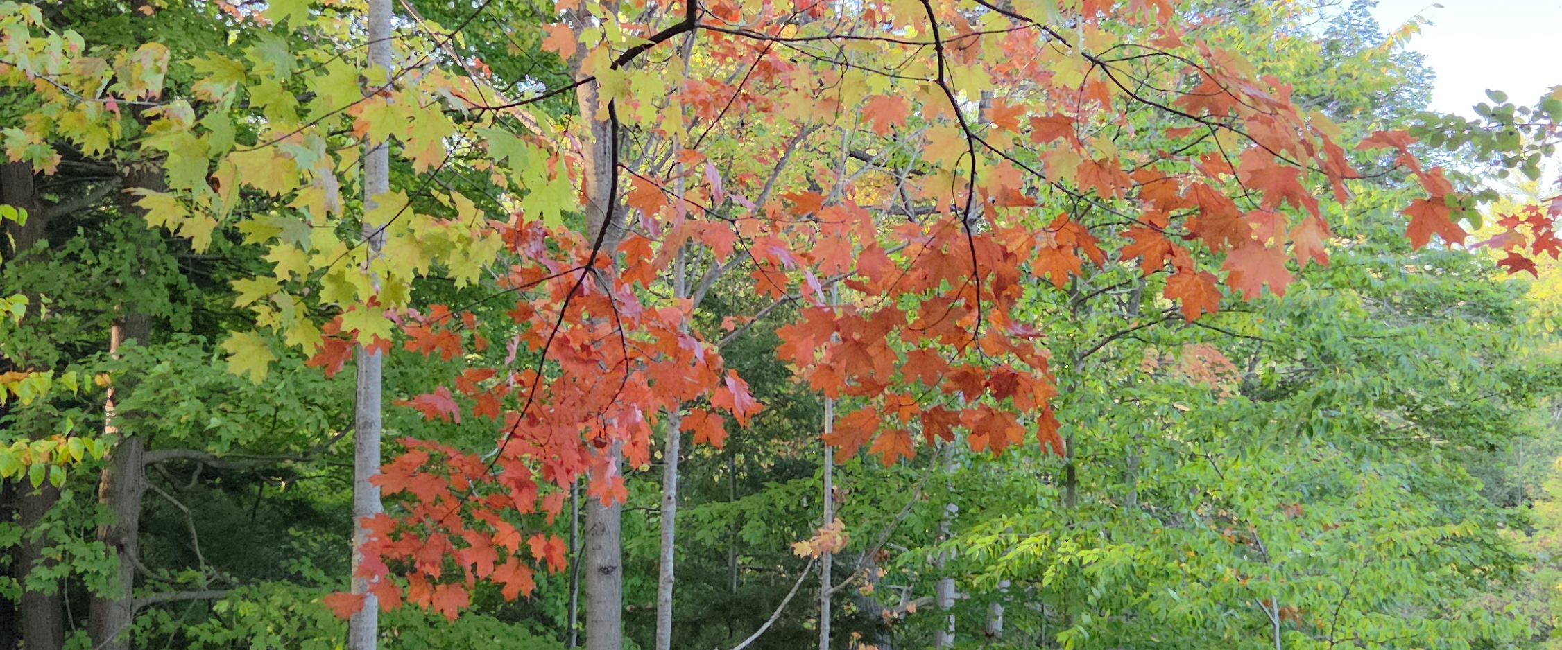 challenge background