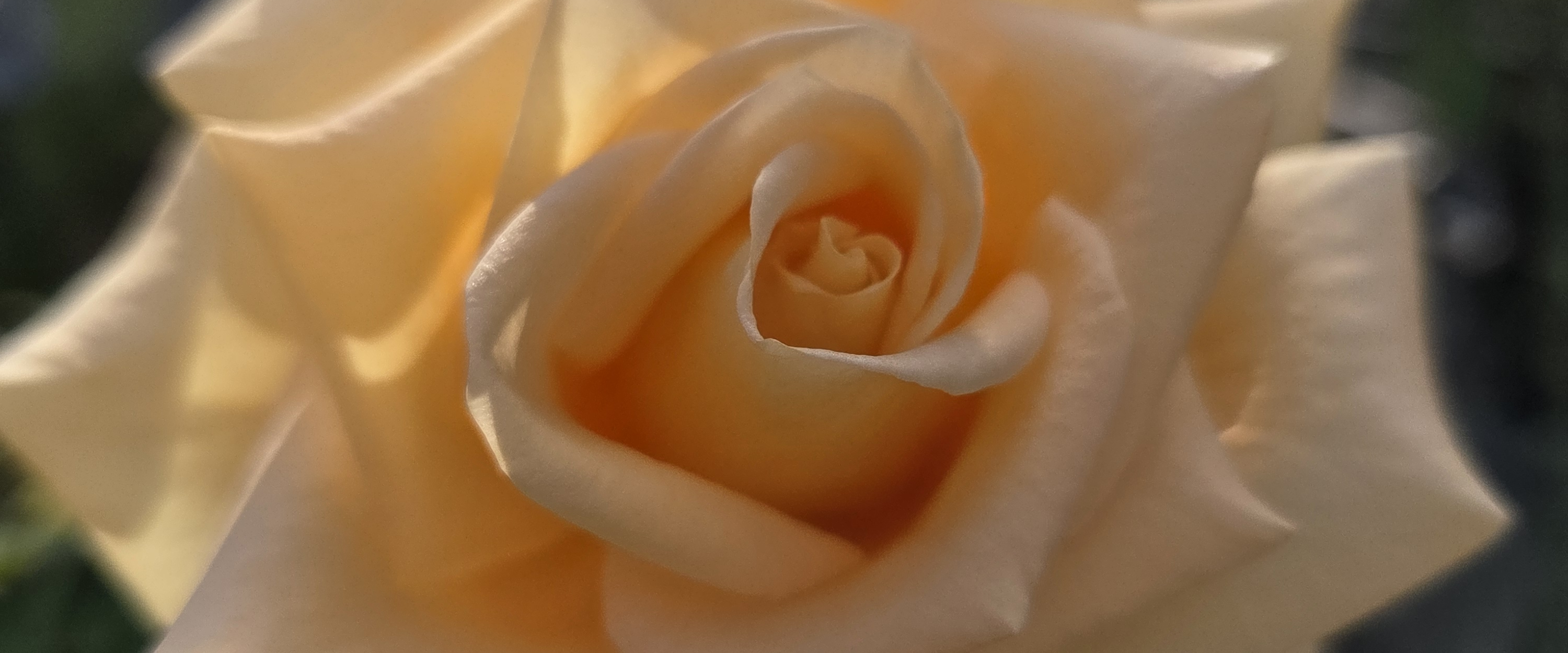 challenge background