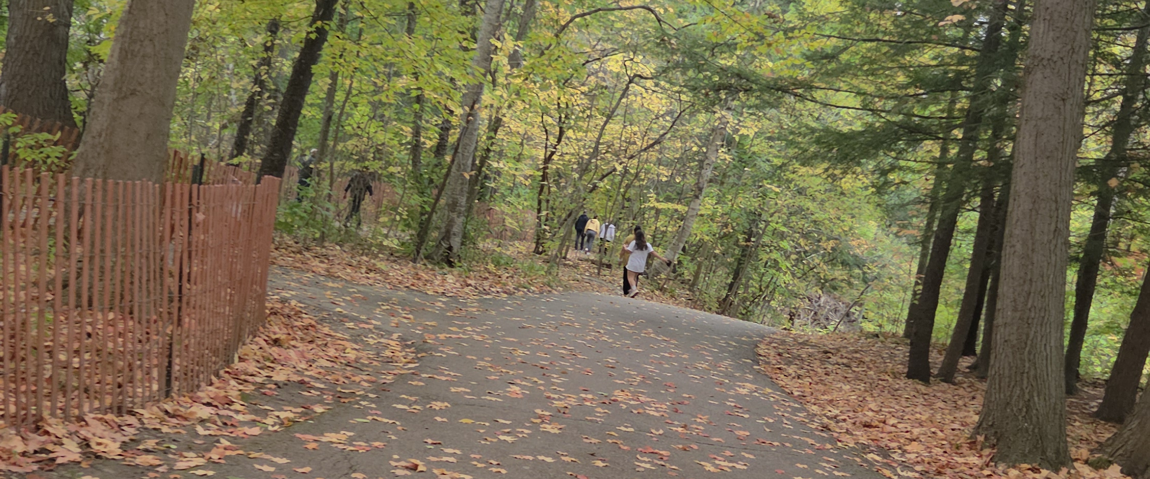 challenge background