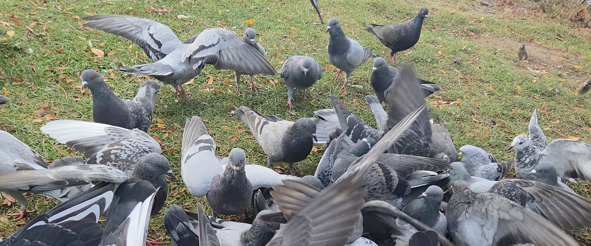 challenge background