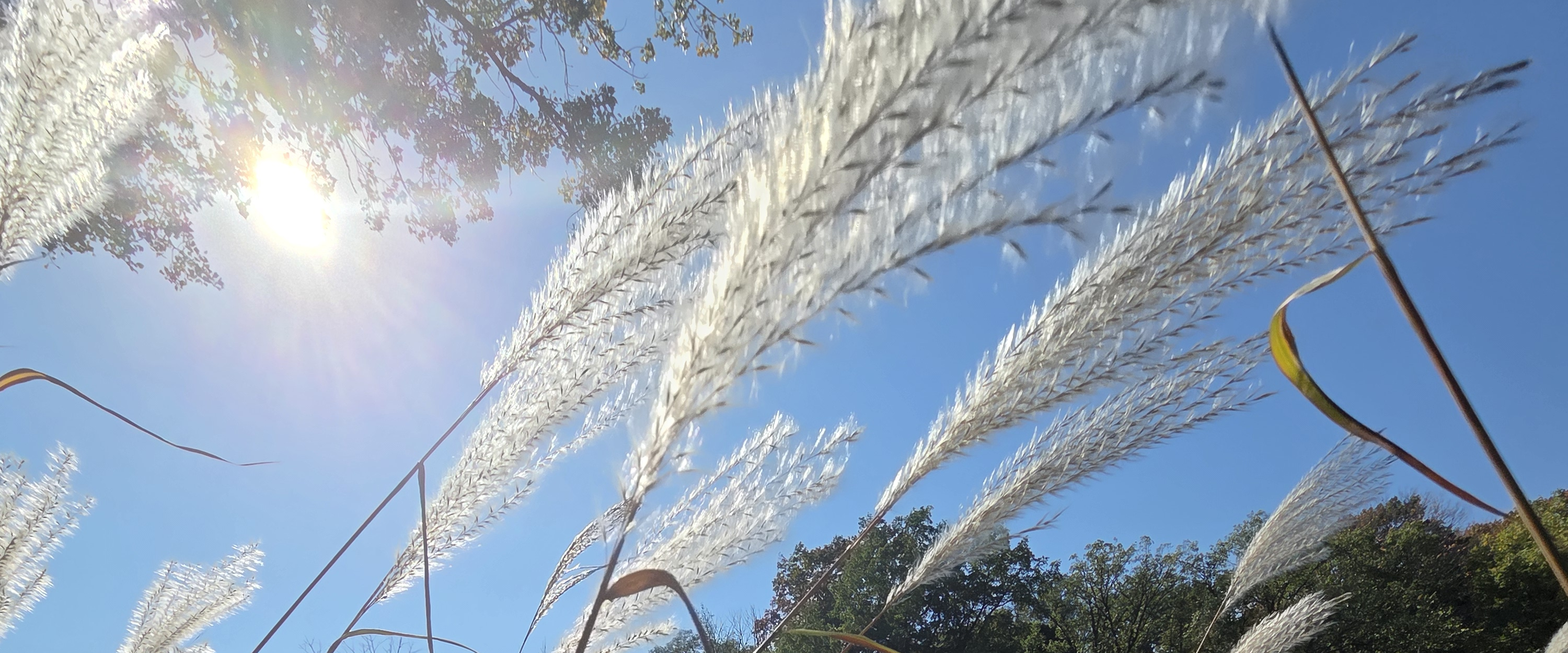 challenge background