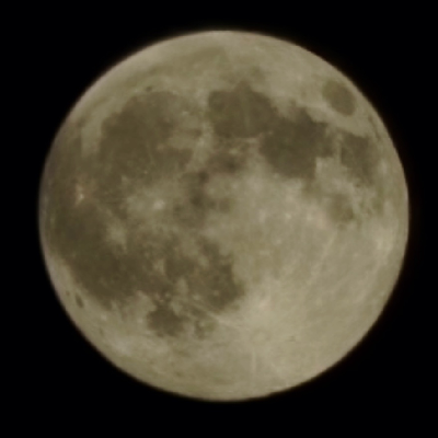 😃MOONLIGHT WALKS😃 icon