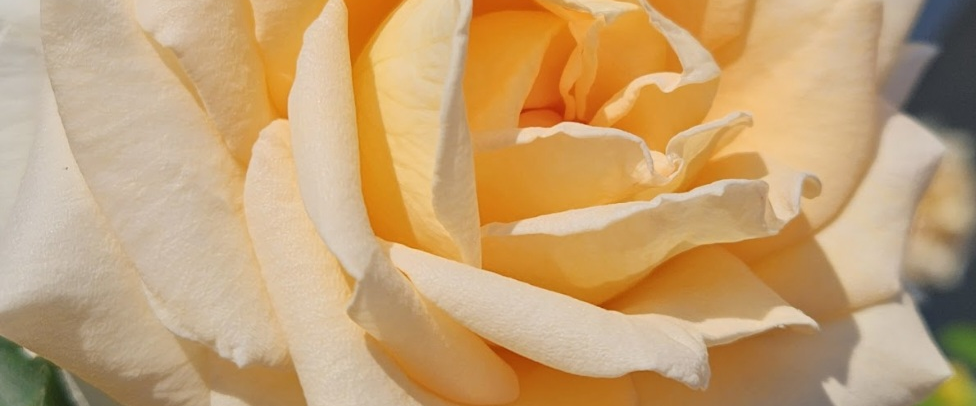 challenge background