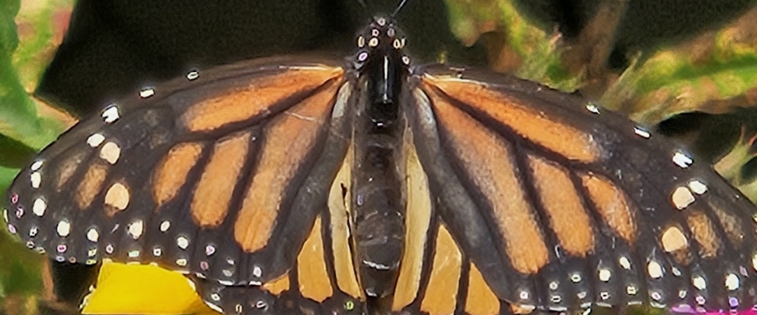 challenge background