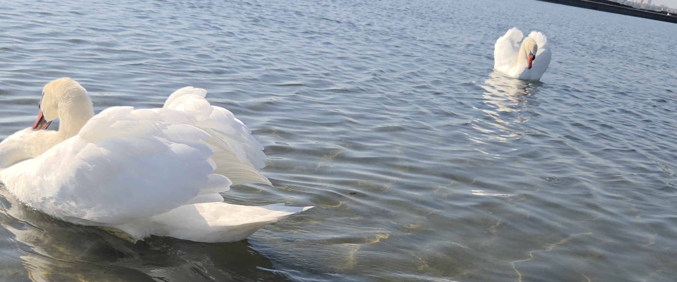 challenge background