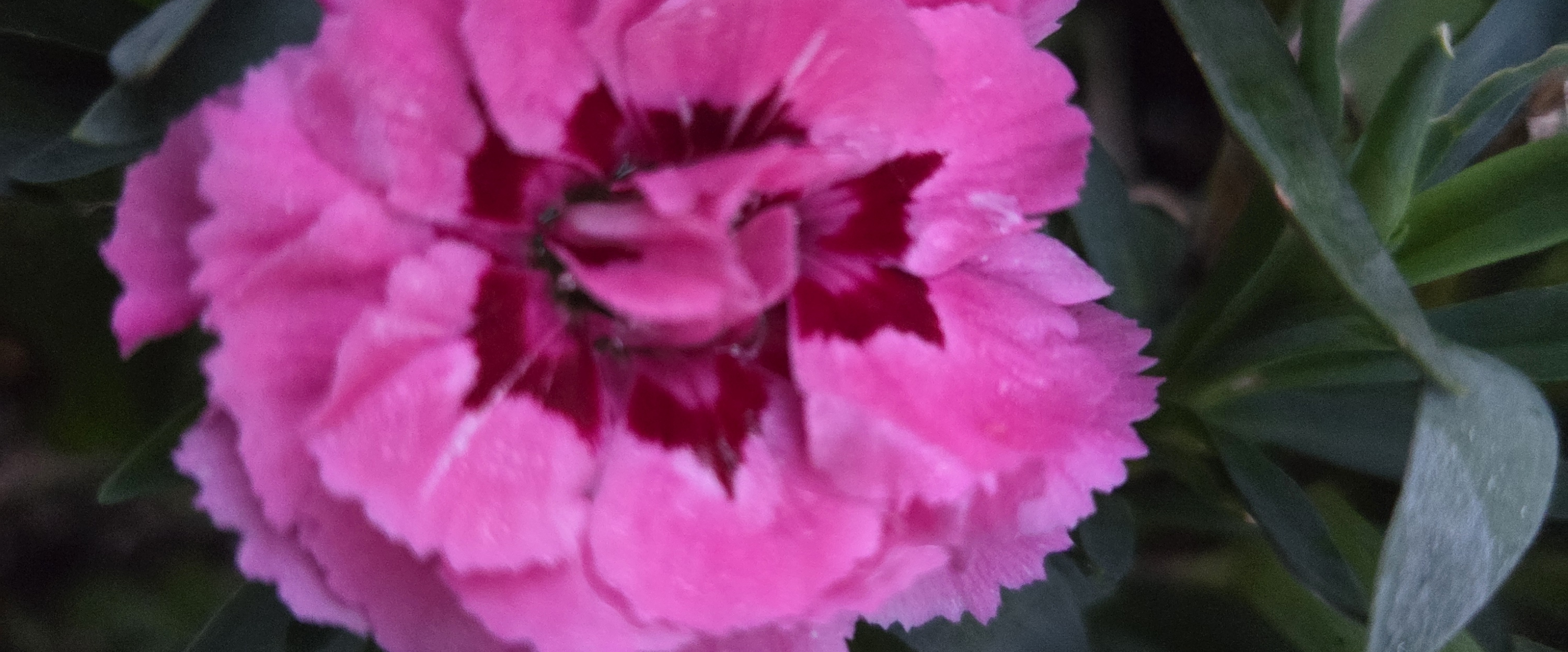 challenge background