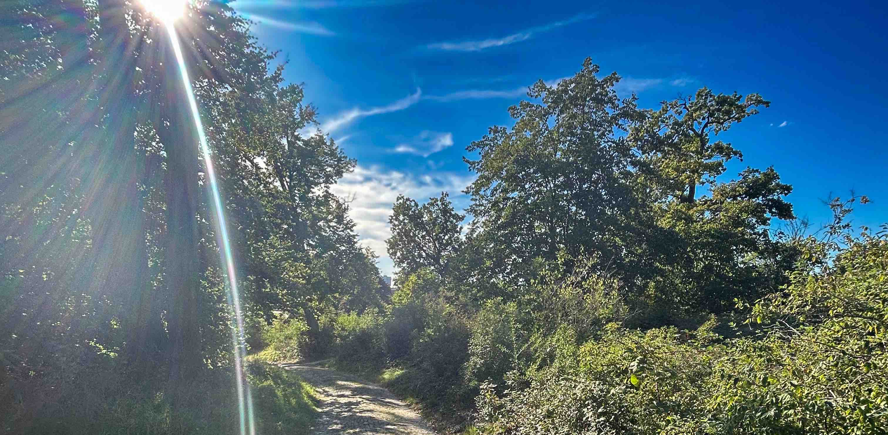 challenge background