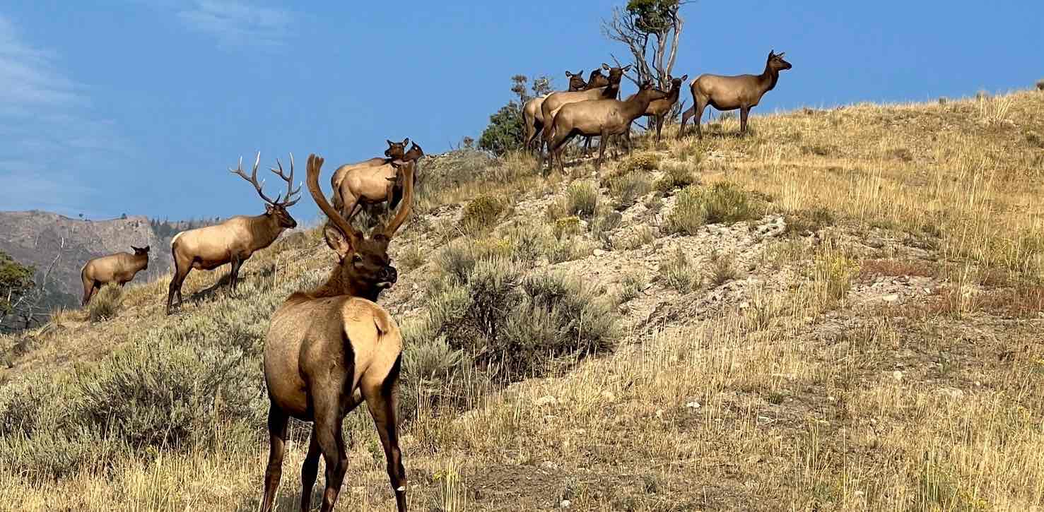 challenge background