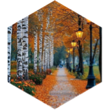 10k steps challenge 25 Oct - 22 Jan 2026 SJEmpire icon