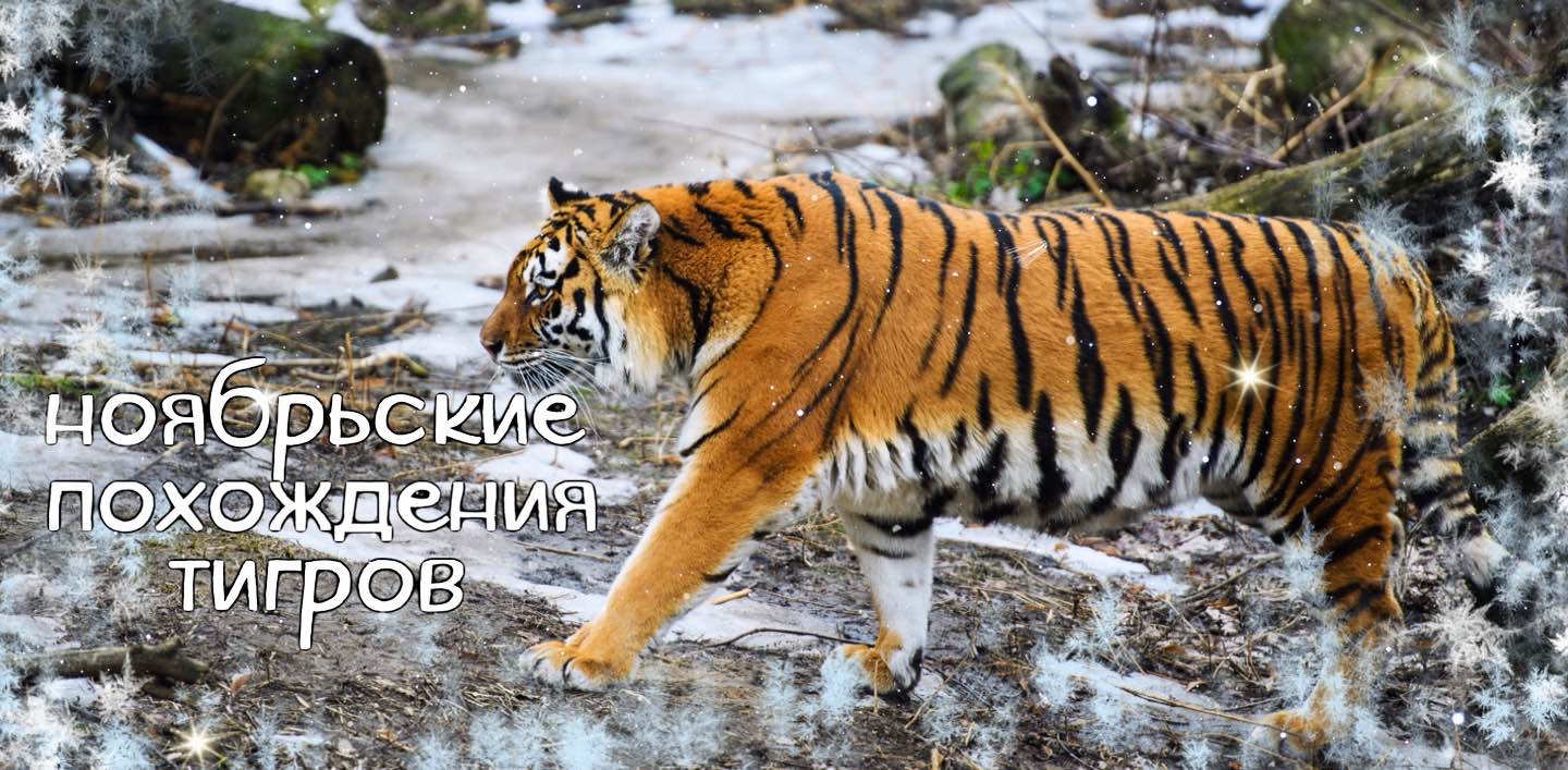 challenge background