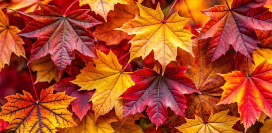 challenge background