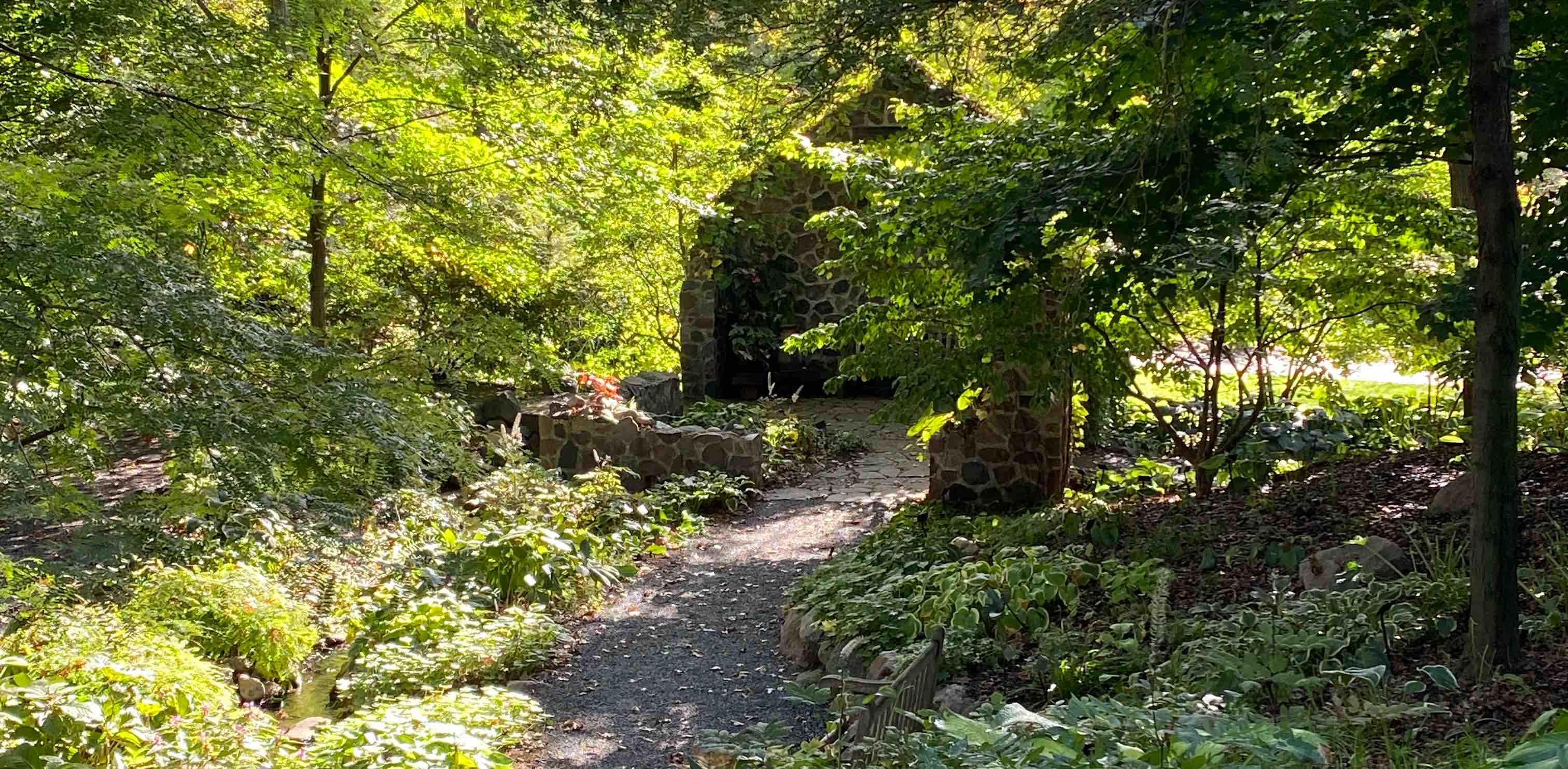 challenge background