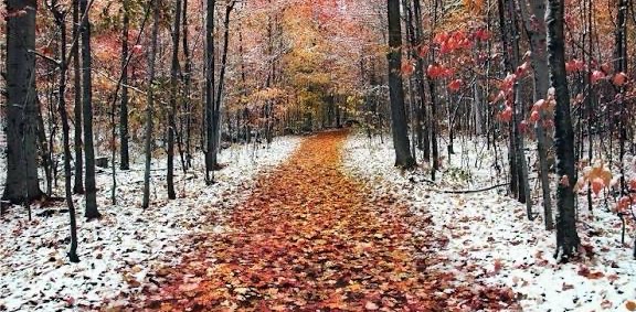 challenge background