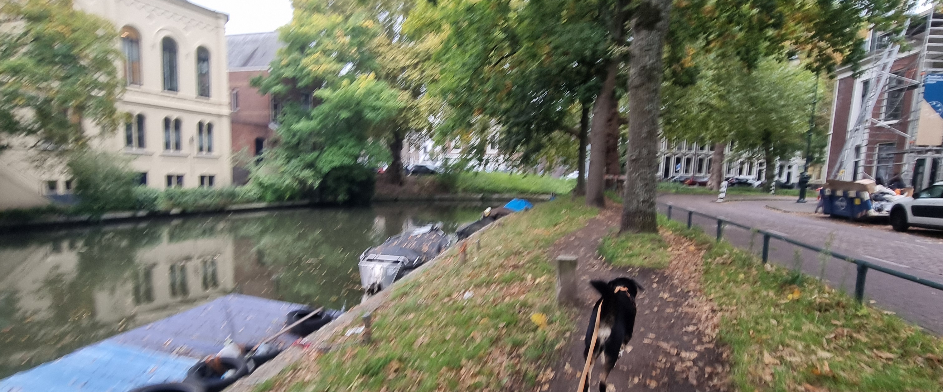 challenge background