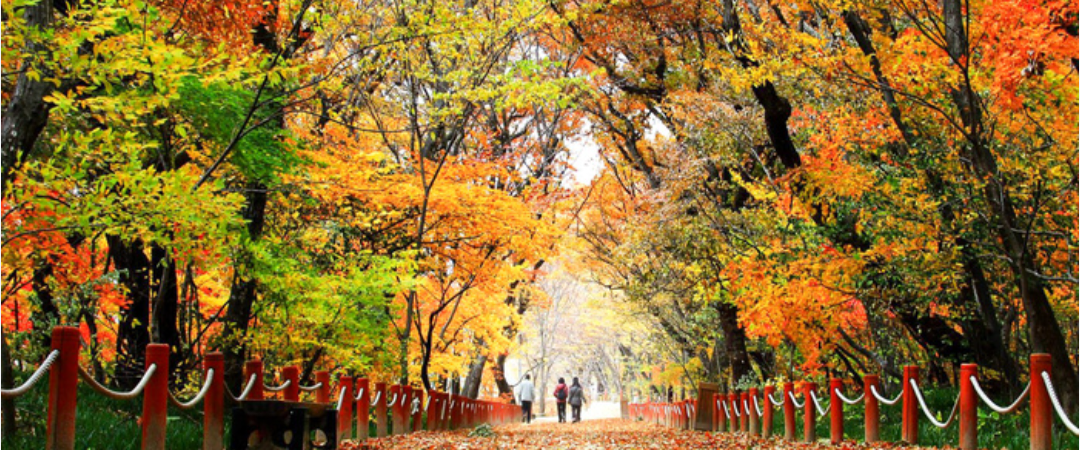 challenge background