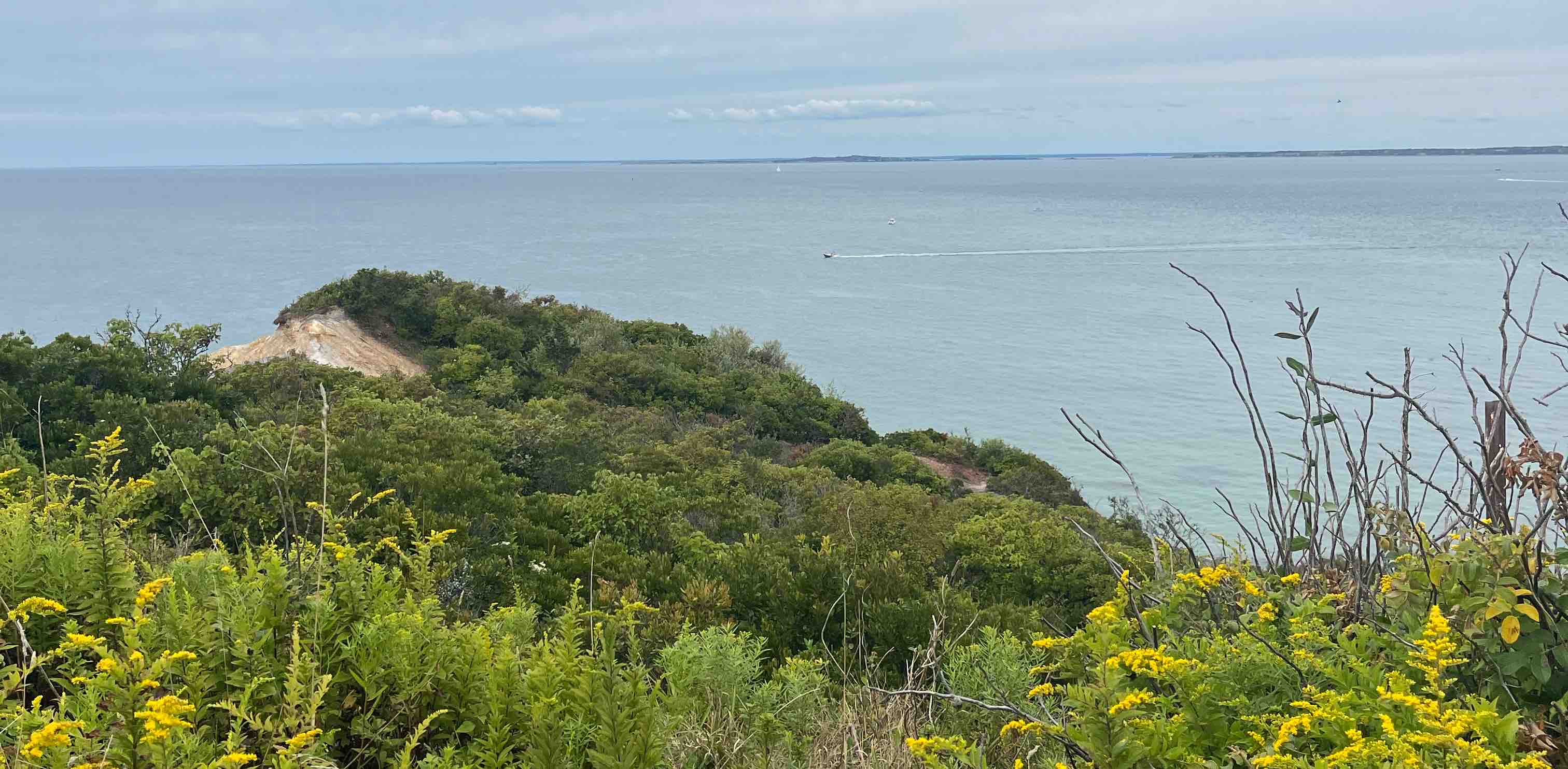 challenge background