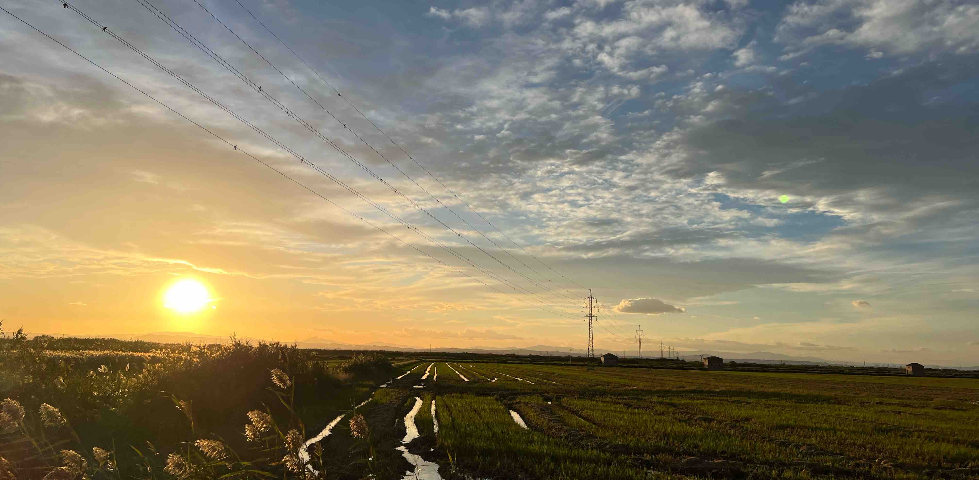 challenge background