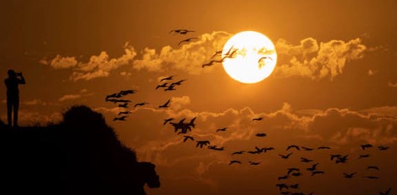 ๐15 000๐ LA LUNE ๐ logo