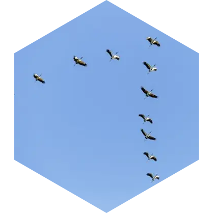 π Les Grandes Migrations π icon