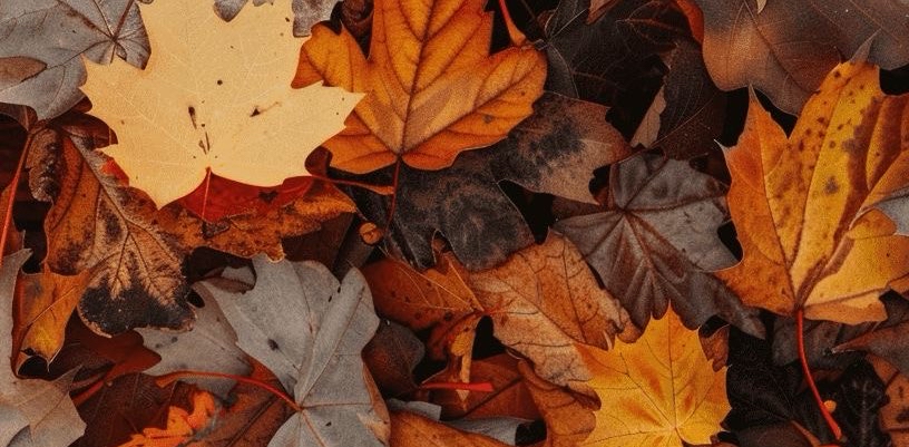 challenge background