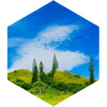 Défi de pas quotidien 3000 icon