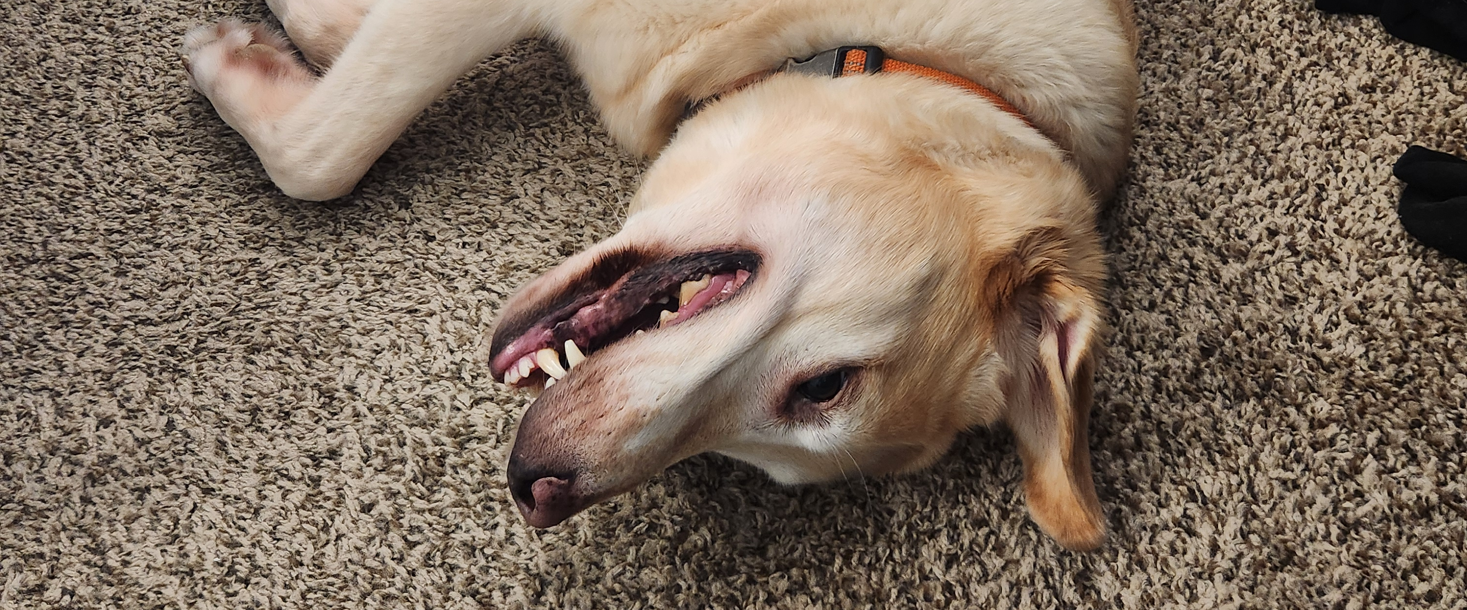 challenge background