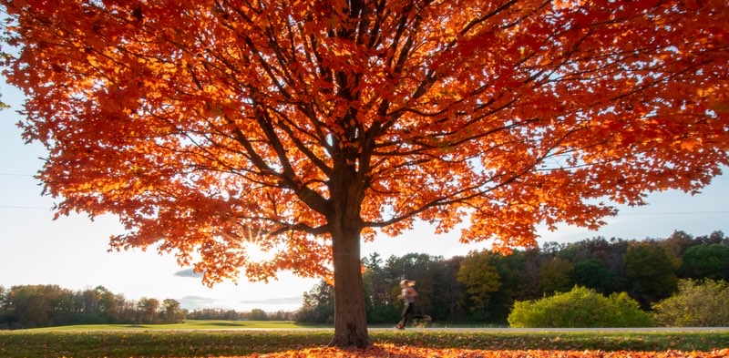 challenge background