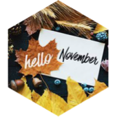 November Steps Competition (20k limit) icon