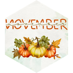 November 5 km Step Estimate Daily Points icon