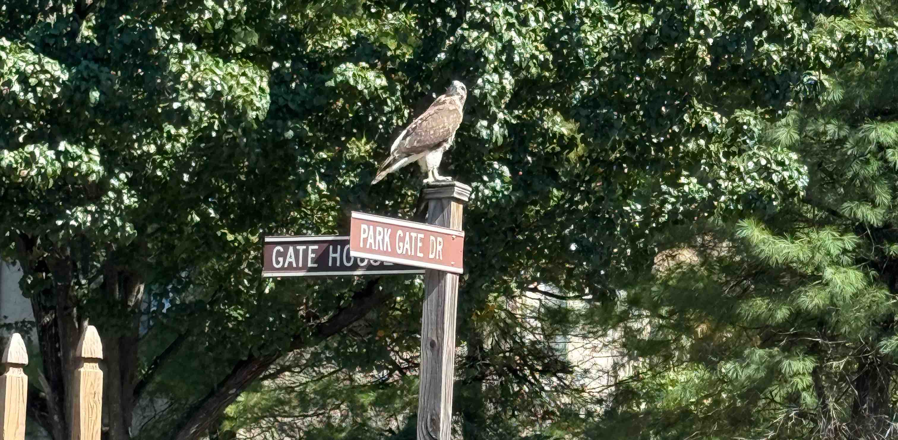 challenge background