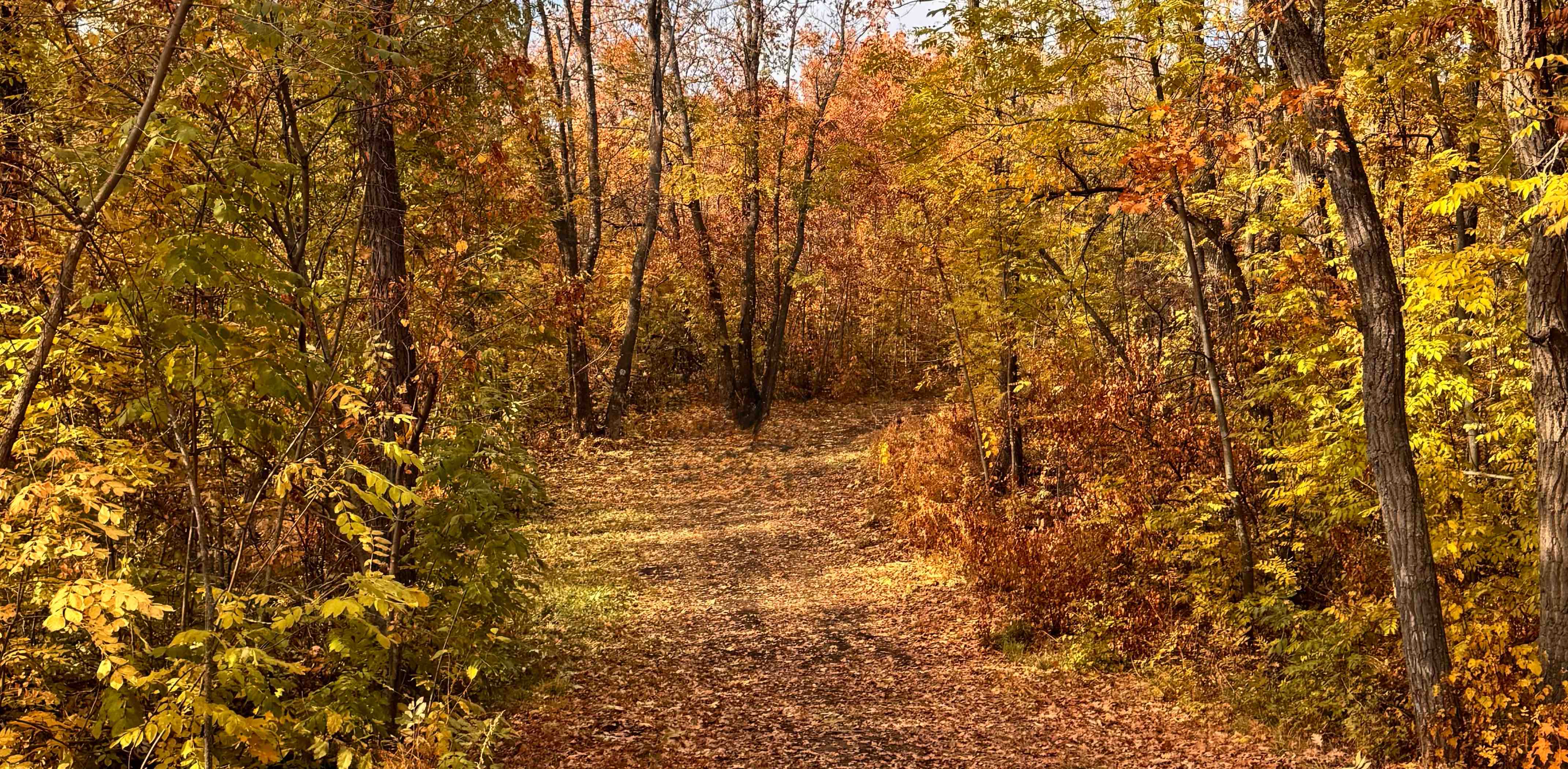 challenge background