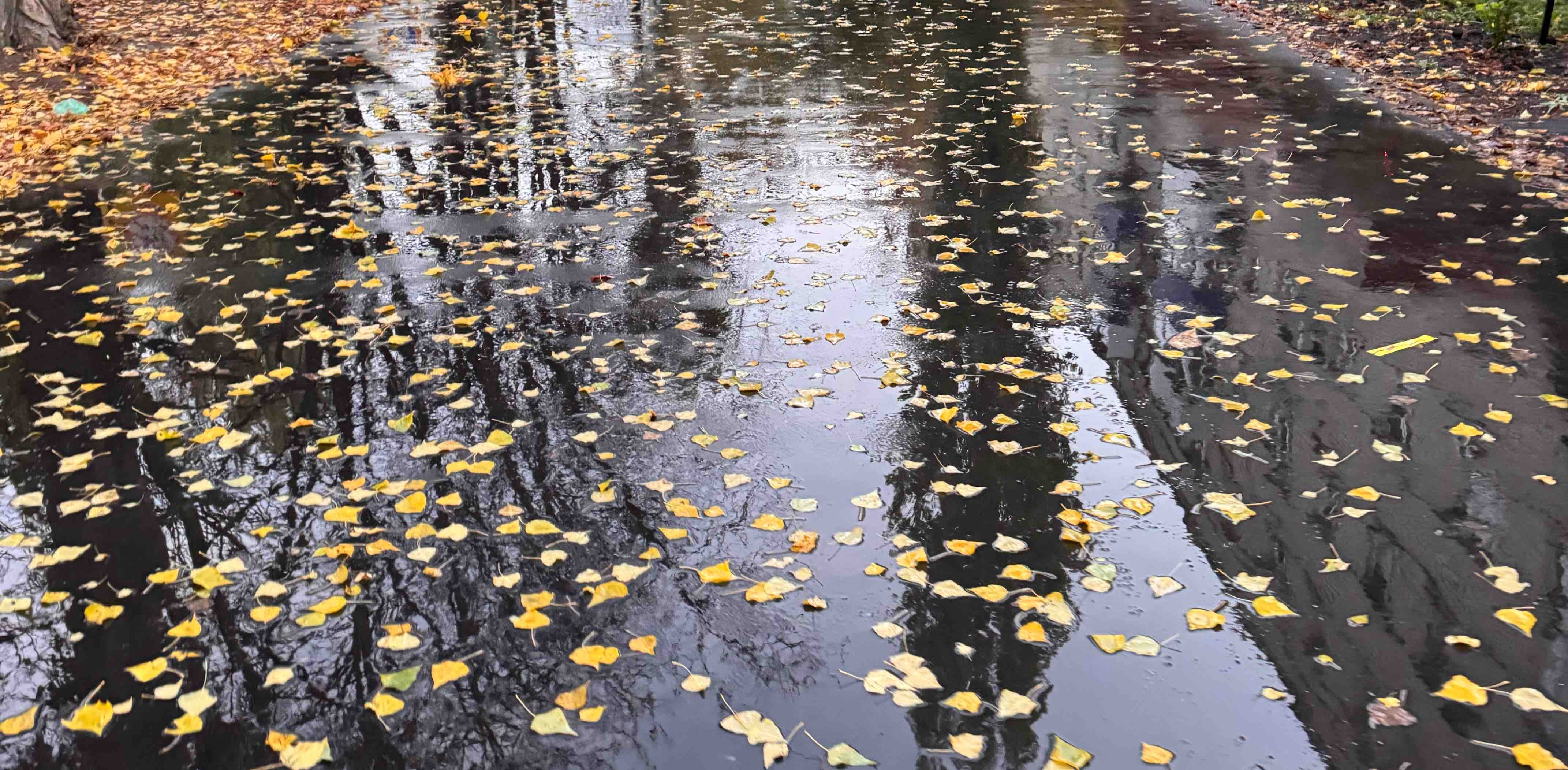 challenge background